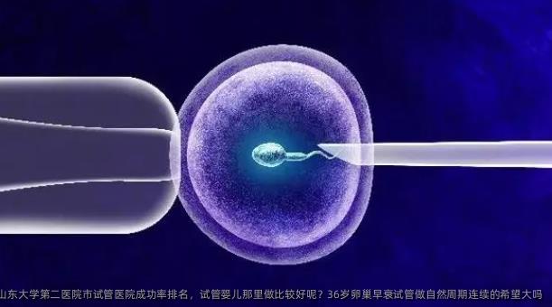 山东大学第二医院市试管医院成功率排名，试管婴儿那里做比较好呢？36岁卵巢早衰试管做自然周期连续的希望大吗