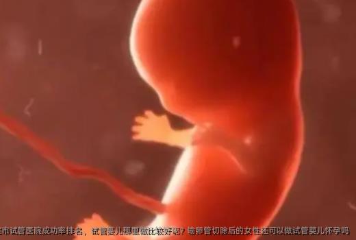 北京家恩德运医院市试管医院成功率排名，试管婴儿那里做比较好呢？输卵管切除后的女性还可以做试管婴儿怀孕吗