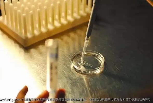 广州市花都区妇幼保健院市试管医院成功率排名，试管婴儿那里做比较好呢？体外受精要多少钱