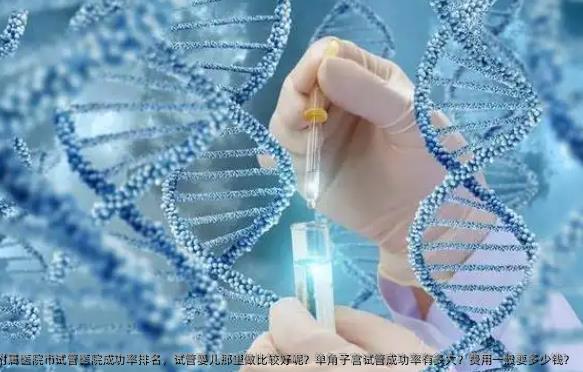 济宁医学院附属医院市试管医院成功率排名，试管婴儿那里做比较好呢？单角子宫试管成功率有多大？费用一般要