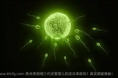 贵州贵阳做三代试管婴儿的成功率高吗？真实数据揭秘！