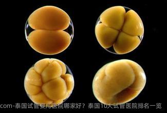 泰国试管婴儿医院哪家好？泰国10大试管医院排名一览