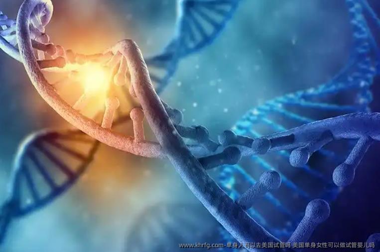 单身人可以去美国试管吗 美国单身女性可以做试管婴儿吗