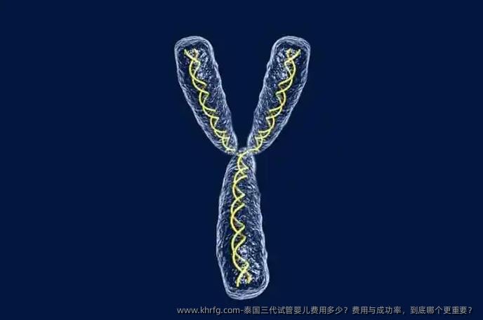泰国三代试管婴儿费用多少？费用与成功率，到底哪个更重要？
