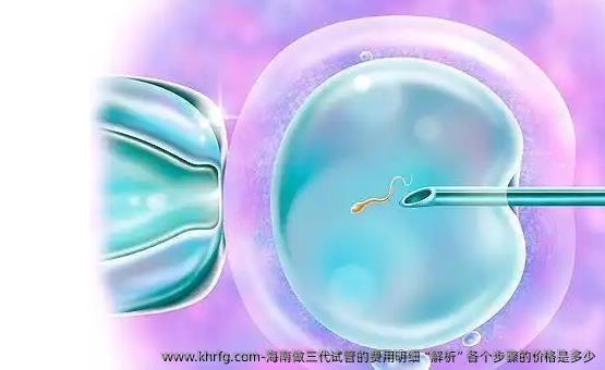 海南做三代试管的费用明细“解析”各个步骤的价格是多少