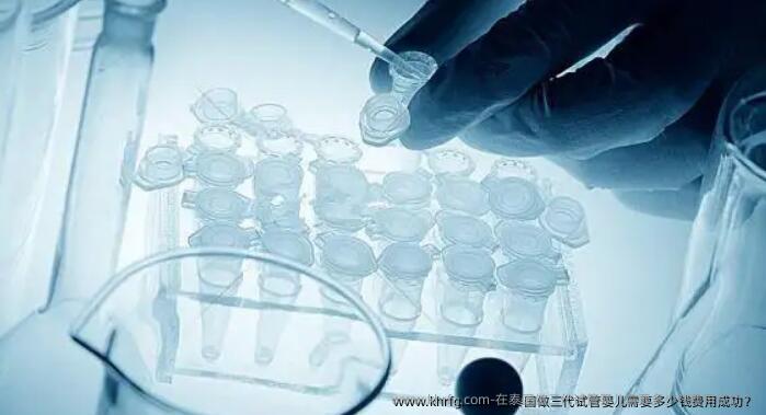 在泰国做三代试管婴儿需要多少钱费用成功？
