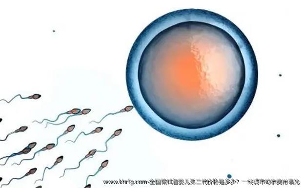国内做试管婴儿第三代价格是多少？一线城市助孕费用曝光