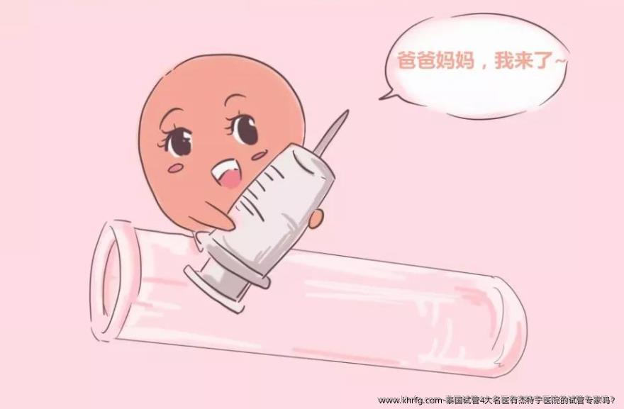 泰国试管4大名医有杰特宁医院的试管专家吗？