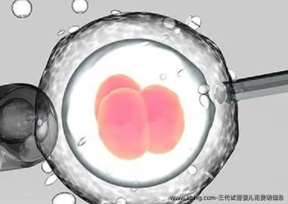 三代试管婴儿花费明细表