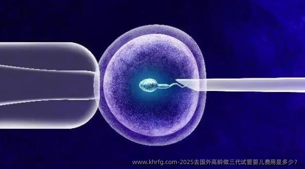 2025去国外高龄做三代试管婴儿费用是多少？