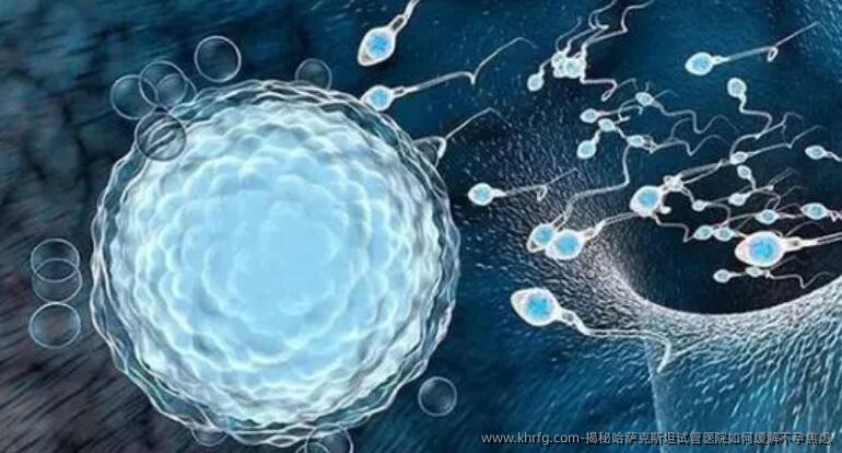 揭秘哈萨克斯坦试管医院如何缓解不孕焦虑