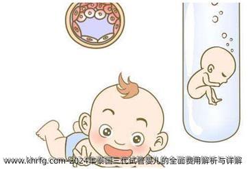 2024年泰国三代试管婴儿的全面费用解析与详解