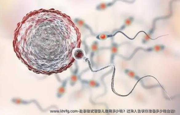 赴泰做试管婴儿费用多少钱？过来人告诉你准备多少钱合适！