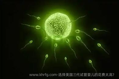 选择美国三代试管婴儿的花费太高？