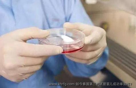 如今泰国第三代试管婴儿成功率如何？