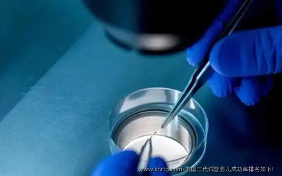 美国三代试管婴儿成功率排名如下！