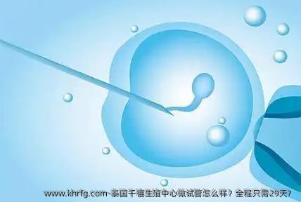 泰国千禧生殖中心做试管怎么样？全程只需29天？