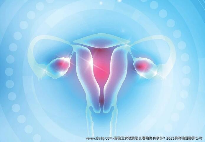 泰国三代试管婴儿费用总共多少？2025具体明细费用公布