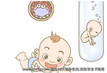 国内10大助孕机构,附助孕生子费用
