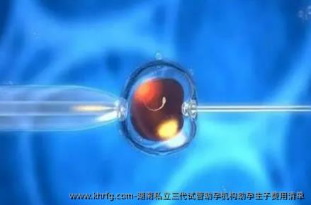 湖南私立三代试管助孕机构助孕生子费用清单
