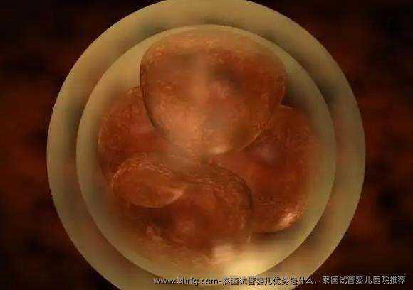 泰国试管婴儿优势是什么，泰国试管婴儿医院推荐