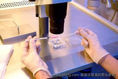 泰国试管真的那么好吗