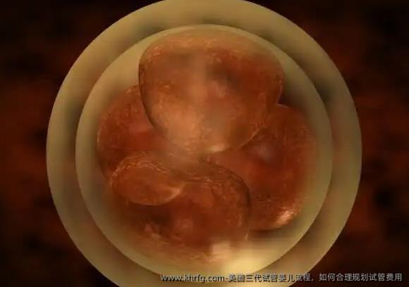 美国三代试管婴儿流程，如何合理规划试管费用