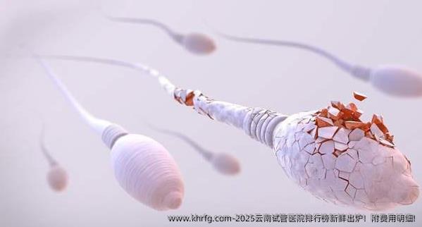 2025云南试管医院排行榜新鲜出炉！附费用明细!
