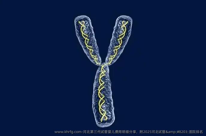 河北第三代试管婴儿费用明细分享，附2025河北试管​医院排名