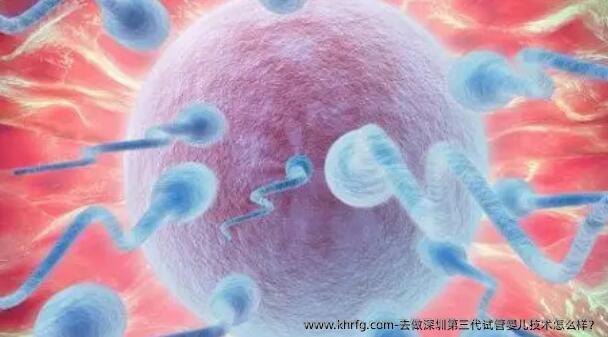 去做深圳第三代试管婴儿技术怎么样？