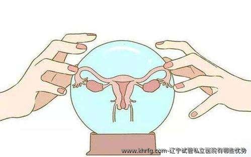辽宁试管私立医院有哪些优势