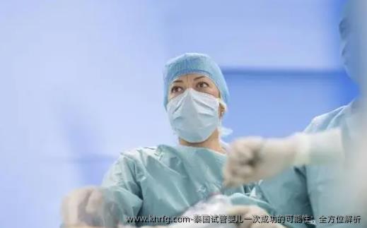 泰国试管婴儿初次成功的可能性：全方位解析
