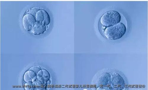 深入解析成都二代试管婴儿所需费用，附一代、二代、三代试管报价