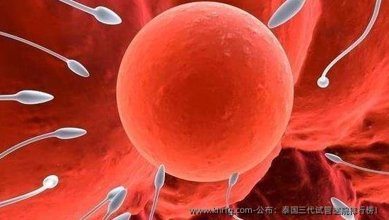 公布：泰国三代试管医院排行榜！