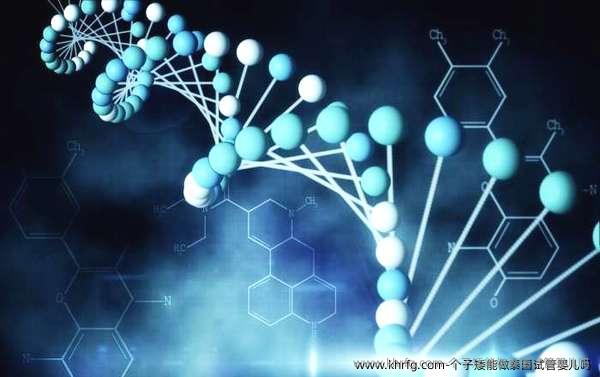 个子矮能做泰国试管婴儿吗