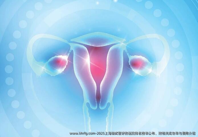 2025上海做试管好的医院排名榜单公布，附相关成功率与费用介绍
