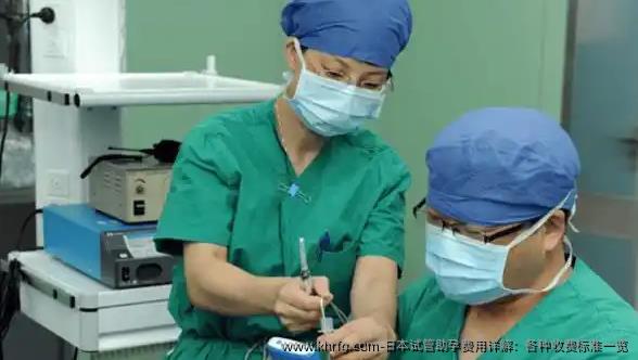 日本试管助孕费用详解：各种收费标准一览