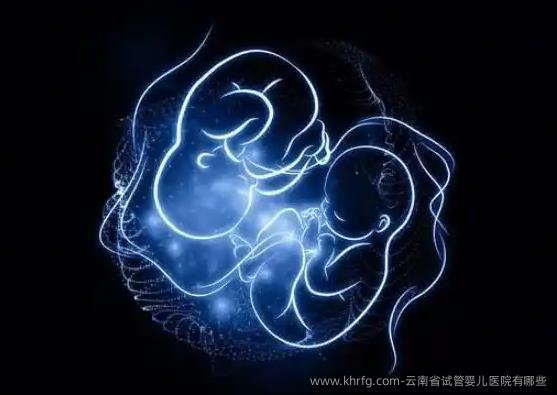 云南省试管婴儿医院有哪些