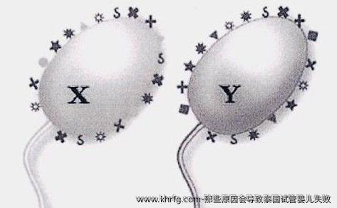 那些原因会导致泰国试管婴儿失败