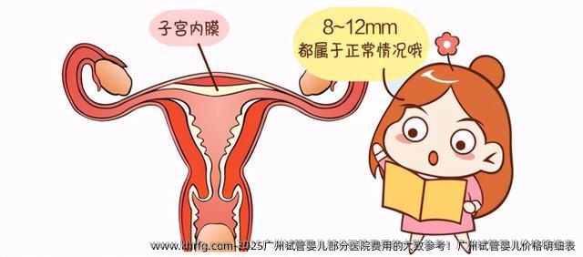 2025广州试管婴儿部分医院费用的大致参考！广州试管婴儿价格明细表
