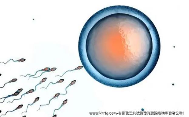 合肥第三代试管婴儿医院成功率排名公布！