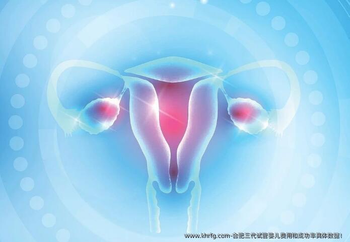 合肥三代试管婴儿费用和成功率具体数据！