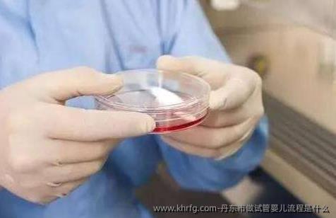 丹东市做试管婴儿流程是什么