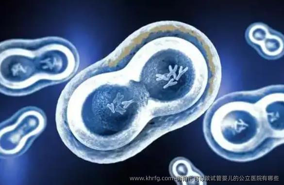 衡阳市可以做试管婴儿的公立医院有哪些