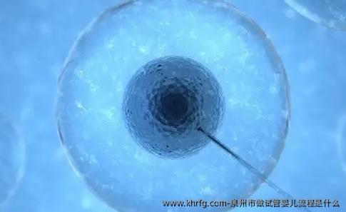 泉州市做试管婴儿流程是什么