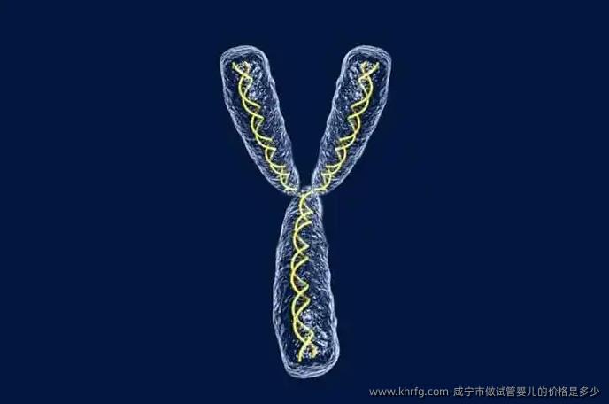 咸宁市做试管婴儿的价格是多少