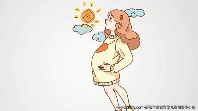 邵阳市做试管婴儿费用要多少钱