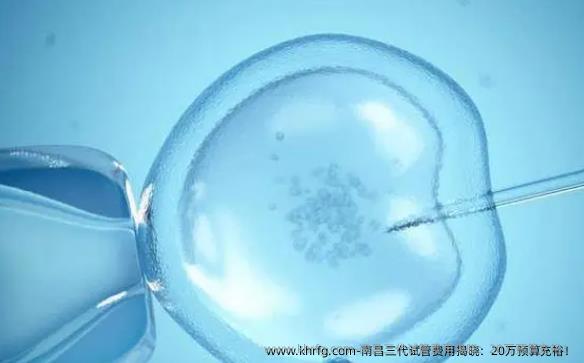 南昌三代试管费用揭晓：20万预算充裕！