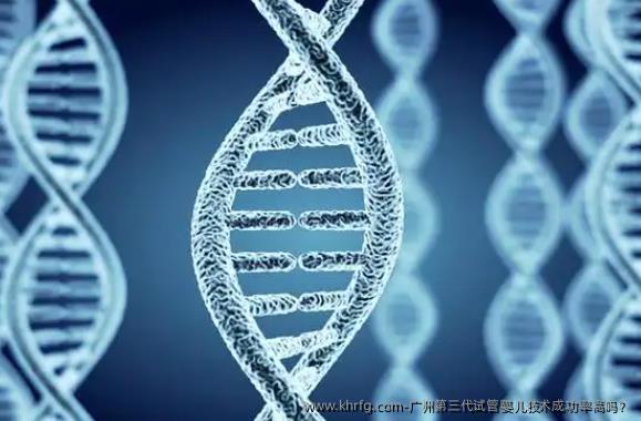 广州第三代试管婴儿技术成功率高吗？