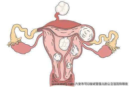 六安市可以做试管婴儿的公立医院有哪些